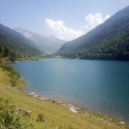 Afrique Appartement De 42M2 A La Montagne Eaux-Bonnes Eksteriør billede