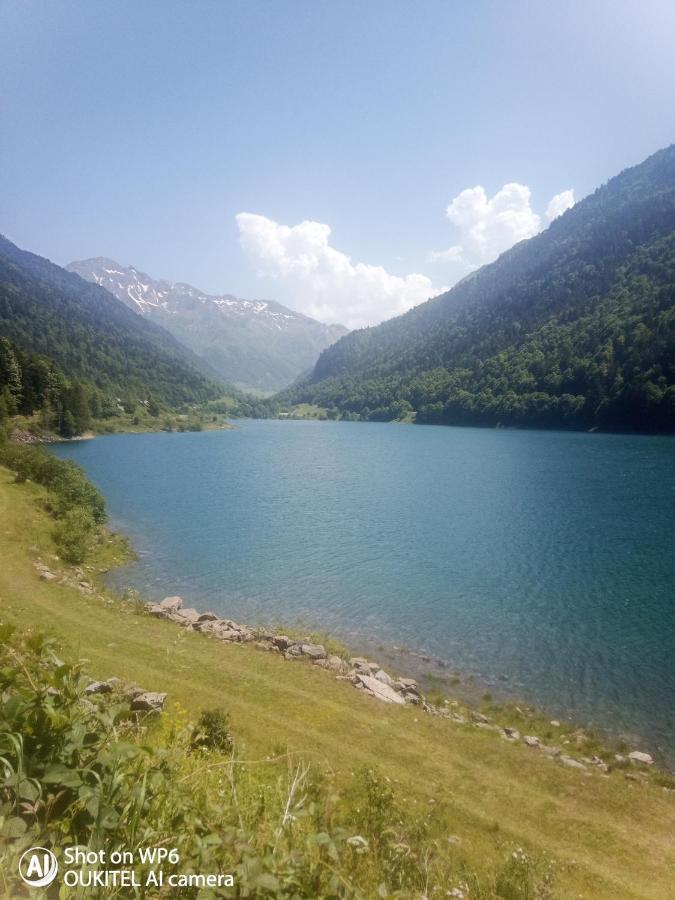 Afrique Appartement De 42M2 A La Montagne Eaux-Bonnes Eksteriør billede