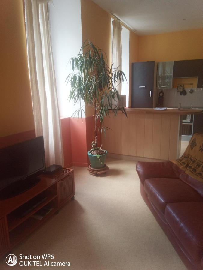 Afrique Appartement De 42M2 A La Montagne Eaux-Bonnes Eksteriør billede