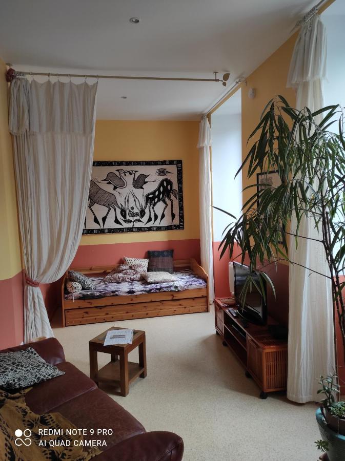 Afrique Appartement De 42M2 A La Montagne Eaux-Bonnes Eksteriør billede